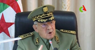 رئيس أركان الجيش الجزائري السعيد شنقريحة