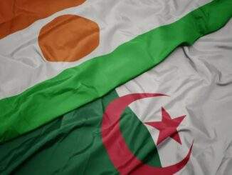 الجزائر النيجر